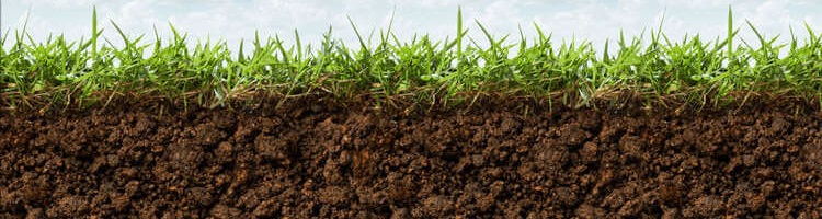 Çim toprağı hazırlama 