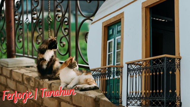 ferforje korkuluk şirketi istanbul bölgesi