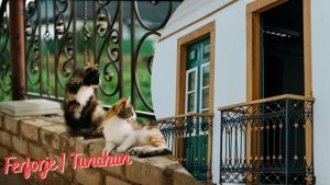 FERFORJE KORKULUK FİRMASI İSTANBUL